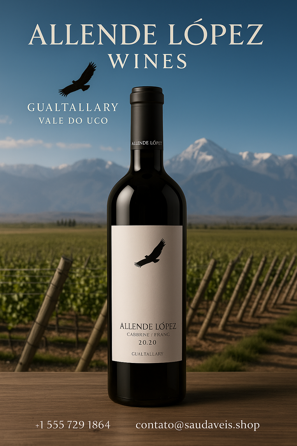 Vinho Malbec - Saudáveis.Shop
