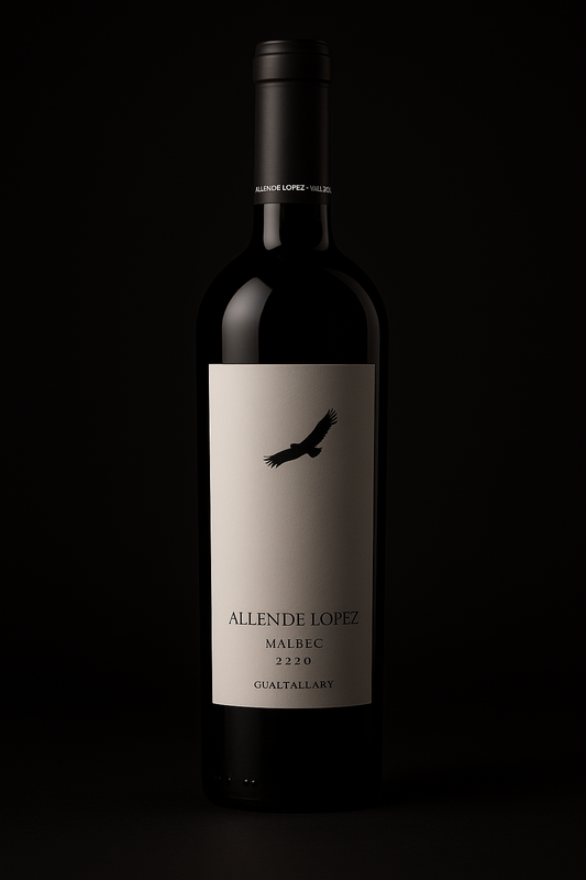 Vinho Malbec - Saudáveis.Shop